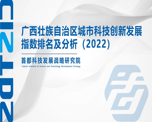 使劲操屄【成果发布】广西壮族自治区城市科技创新发展指数排名及分析（2022）